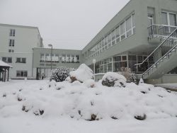 Na zimu sme čakali až do 5. 1. 2015 - 12