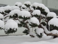 Na zimu sme čakali až do 5. 1. 2015 - 15