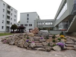 Skalka - čo v nej práve kvitne a robí nám radosť - 11