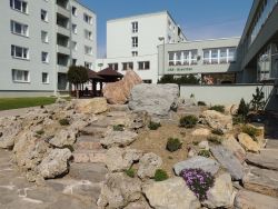 Skalka - čo v nej práve kvitne a robí nám radosť - m_DSCN0232