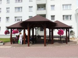 Flóra (čo nám tu práve kvitne) - m_DSCN2594