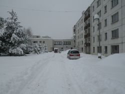 Snehová kalamita 02/2012 - M imgp1927