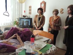 m_DSCN8154