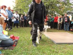 Deň otvorených dverí css - chmelinec púchov - m_DSCN1693