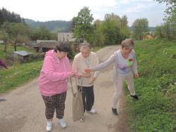 m_DSCN9311