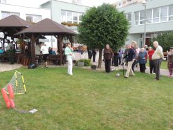 m_DSCN6567