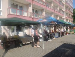 m_DSCN0146