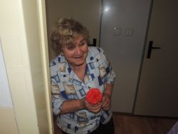 m_DSCN8950