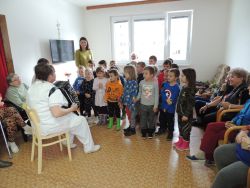 m_DSCN0741