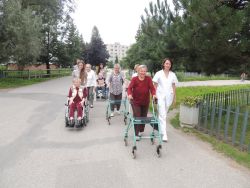 Návšteva dobrovoľníkov zo združenia kresťanskej mládeže a taoistického tai chi - m_DSCN6094