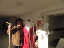 m_DSCN7481