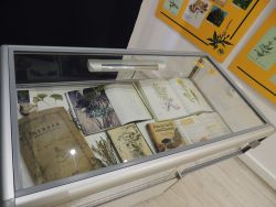 m_DSCN0684