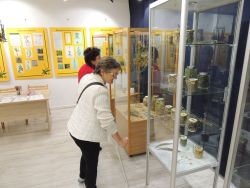 m_DSCN0700