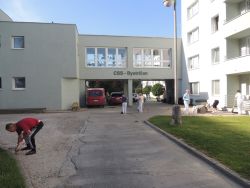m_DSCN6463