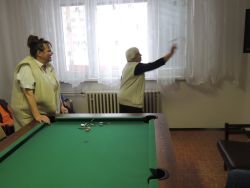 Turnaj v šípkach 