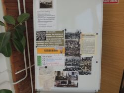 m_DSCN6878
