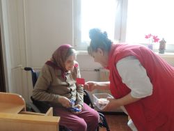 m_DSCN3696