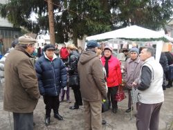 m_DSCN3187