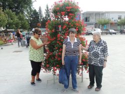 m_DSCN6143