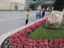 m_DSCN6159