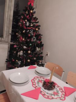 Štedrá večera v útulku 2016