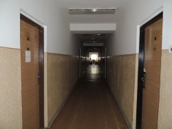 m_DSCN8923