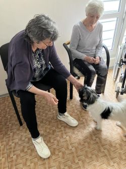 574111048_1383763959966392_7614013822074364126_n