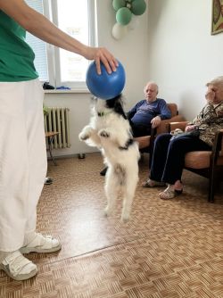 574574122_1383764256633029_2591627615862744062_n