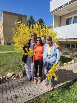 Jarné prechádzky - 4532_zmensena