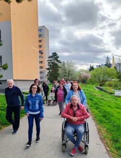 Pálenie moreny - hg