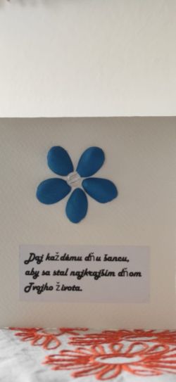 2_zmensena