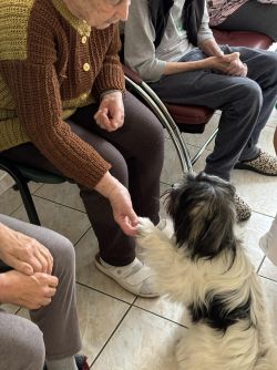 0db137e8-3556-43e3-ac27-5432b00e3b87