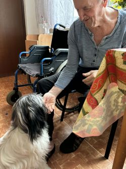 5017aaba-ed87-4908-9a74-f8f2403a9a13