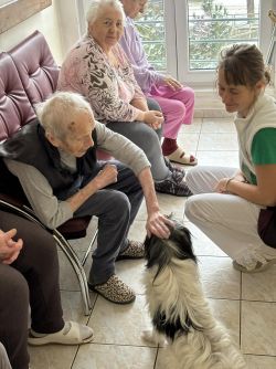 86791bcb-79e9-447a-a26f-9a82142eb196