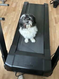 8e1d0cac-2b24-4510-a030-68f506096272