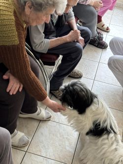 930af10e-1508-4d26-81a0-3cb5bf44cafc