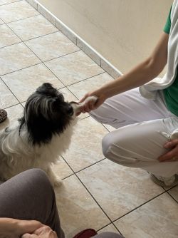 Aba83080-72d1-4300-8ba4-ba30854595cd