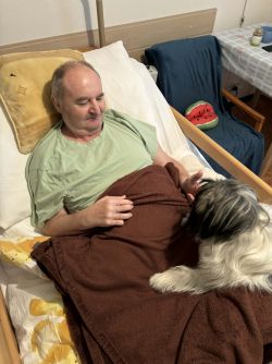 Bad5d9a8-c65e-4f82-aa97-c0114ee9bdb3