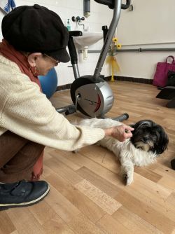 F20cb3a6-4af6-4273-bb71-56dd7ffa9d32