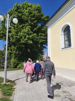 ysw_zmensena