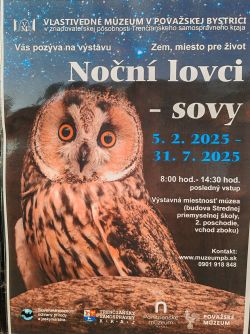 Nočný lovci-sovy