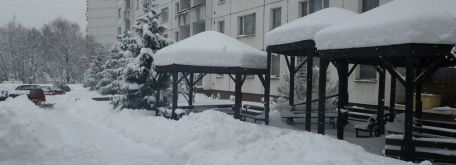 Snehová kalamita 02/2012 - M imgp1916
