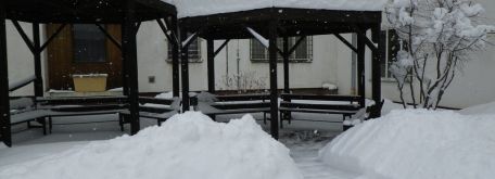 Snehová kalamita 02/2012 - M imgp1947